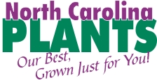 North Carolina Plants ~ Our Best, Just for You!